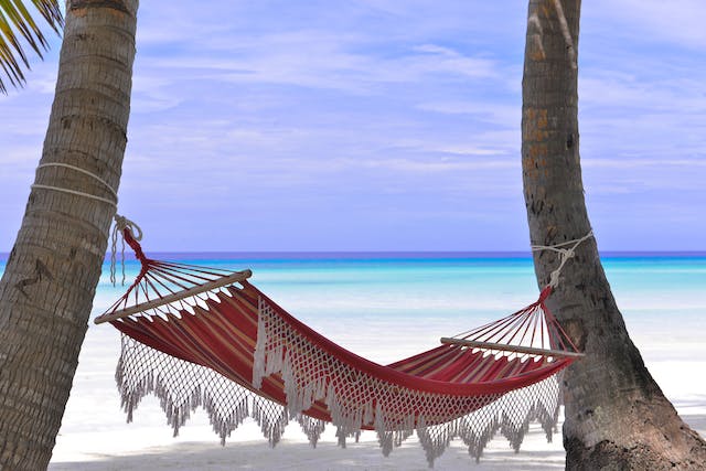 Visa Free travel