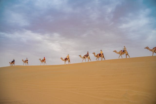  Desert Safari