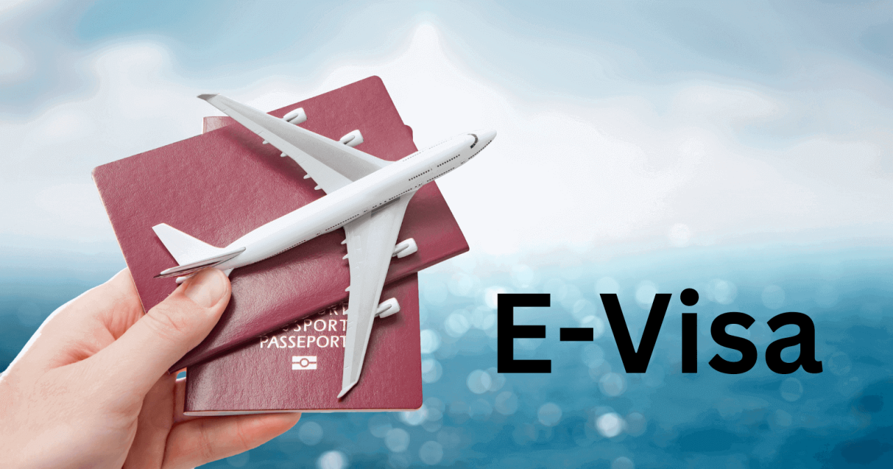 Online Visa Applications 